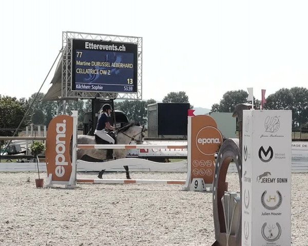 Concours Hippique de Dompierre 2021