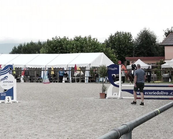 Concours Hippique de Dompierre 2021