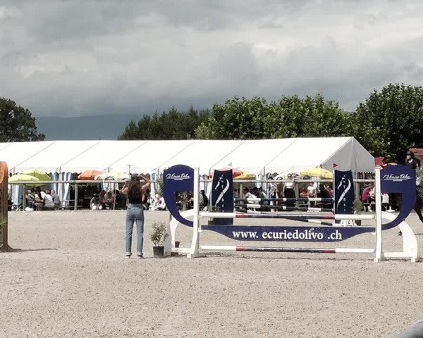 Concours Hippique de Dompierre 2021