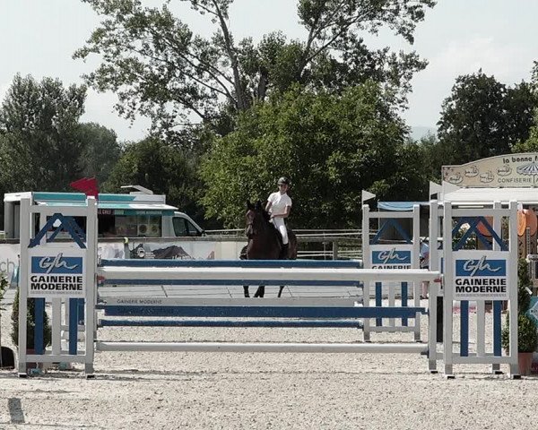 Concours Hippique de Dompierre 2021