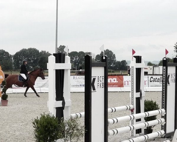 Concours Hippique de Dompierre 2021