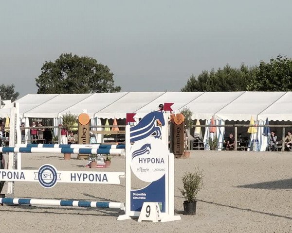 Concours Hippique de Dompierre 2021