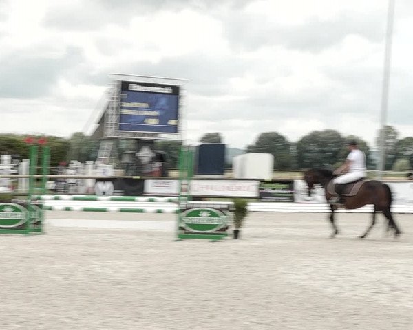 Concours Hippique de Dompierre 2021