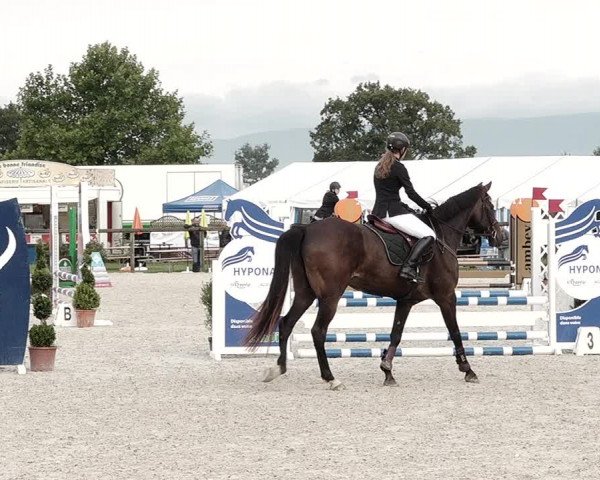 Concours Hippique de Dompierre 2021