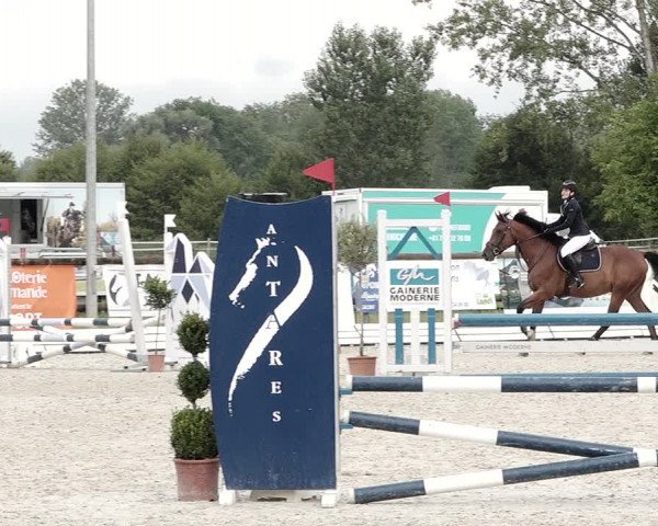 Concours Hippique de Dompierre 2021