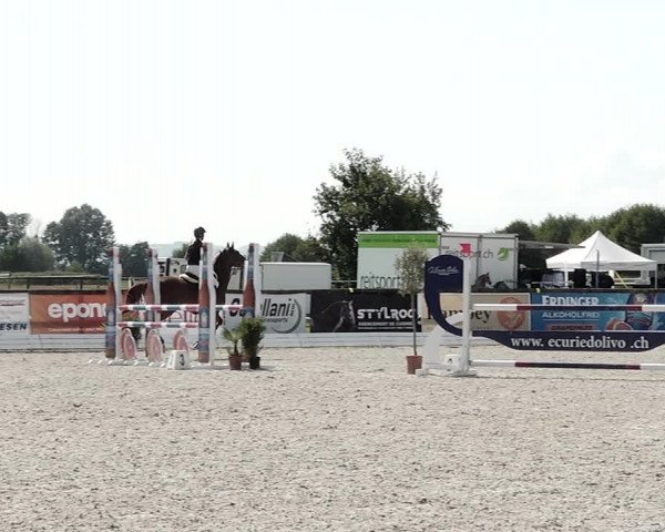 Concours Hippique de Dompierre 2021