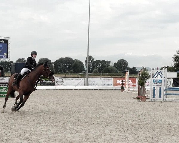 Concours Hippique de Dompierre 2021