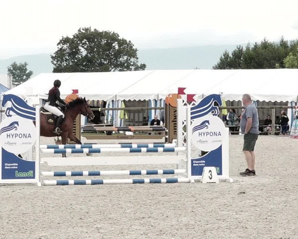 Concours Hippique de Dompierre 2021