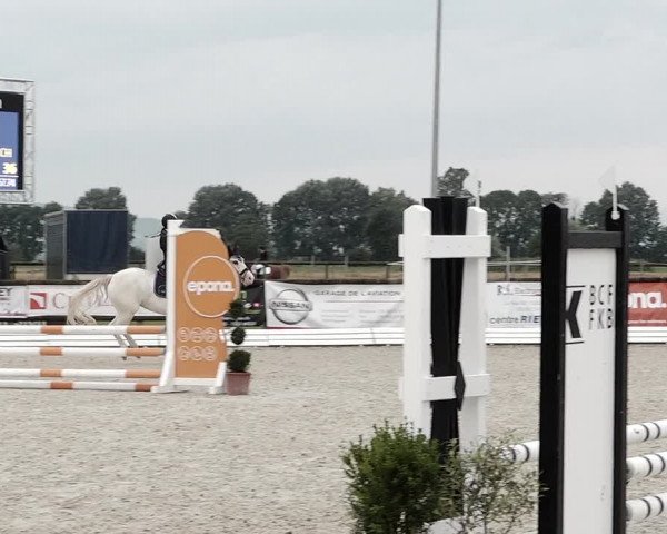 Concours Hippique de Dompierre 2021