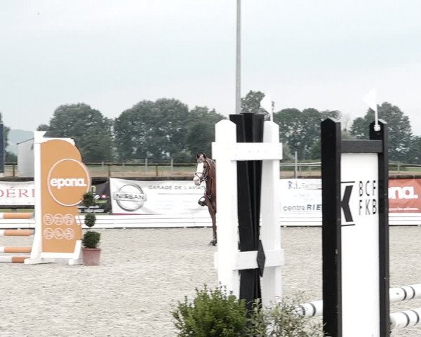 Concours Hippique de Dompierre 2021