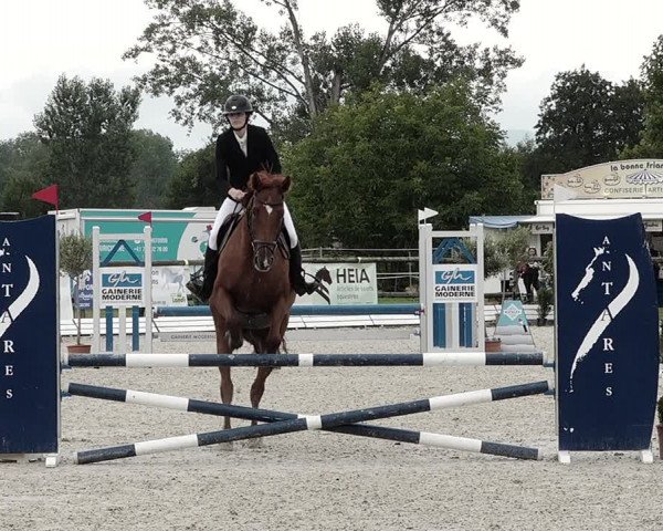 Concours Hippique de Dompierre 2021