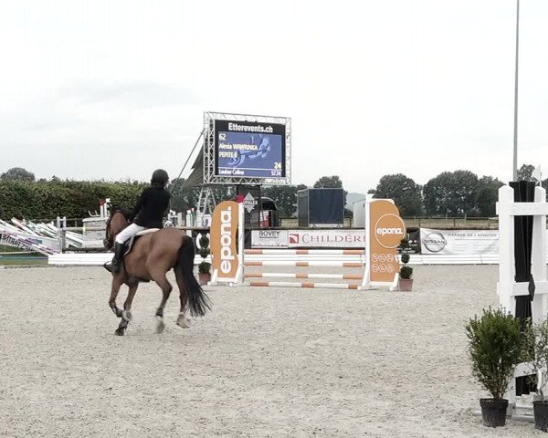 Concours Hippique de Dompierre 2021