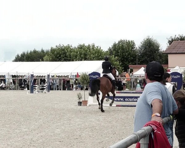 Concours Hippique de Dompierre 2021