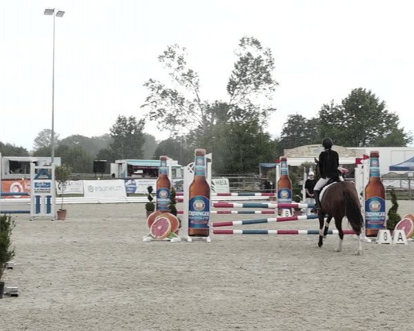 Concours Hippique de Dompierre 2021