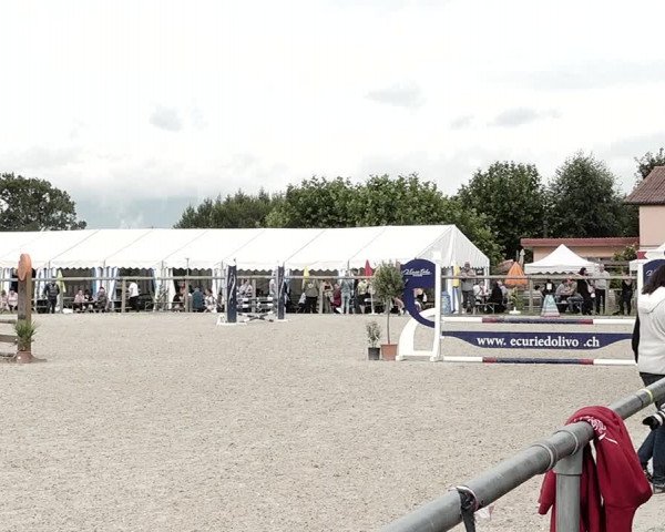 Concours Hippique de Dompierre 2021
