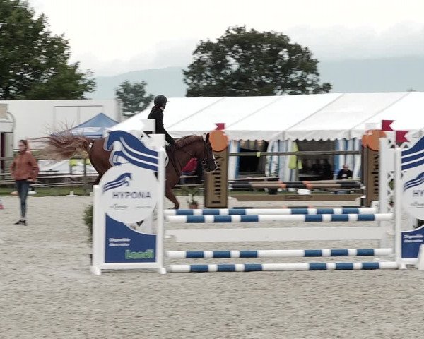 Concours Hippique de Dompierre 2021