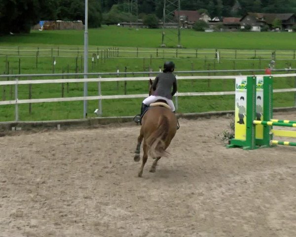 Sommerspringen Oberriet 2021