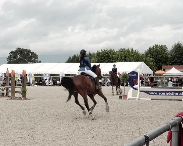 Concours Hippique de Dompierre 2021