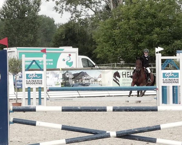 Concours Hippique de Dompierre 2021
