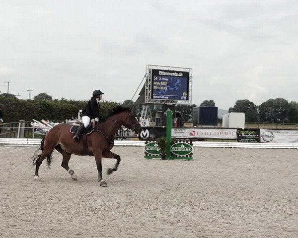 Concours Hippique de Dompierre 2021