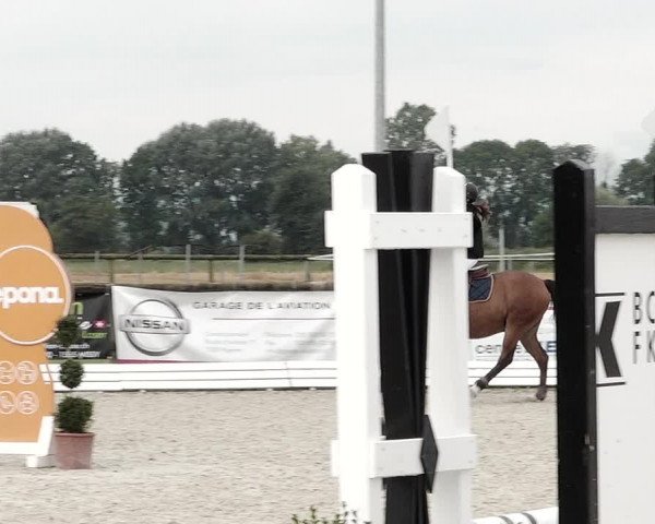 Concours Hippique de Dompierre 2021