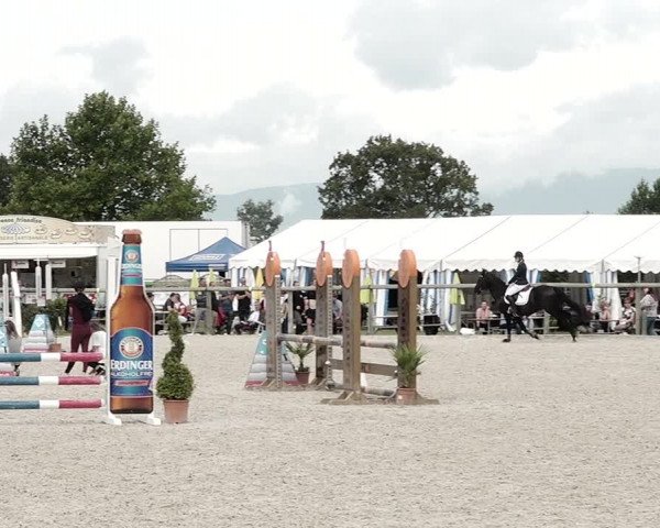 Concours Hippique de Dompierre 2021