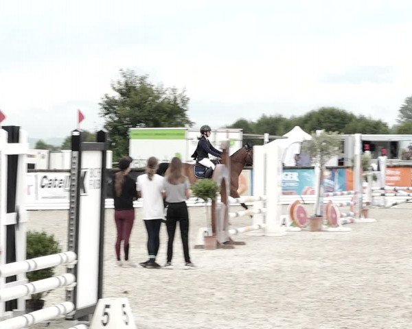 Concours Hippique de Dompierre 2021