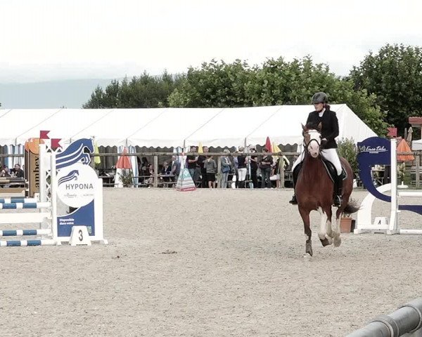 Concours Hippique de Dompierre 2021