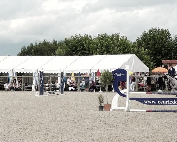 Concours Hippique de Dompierre 2021