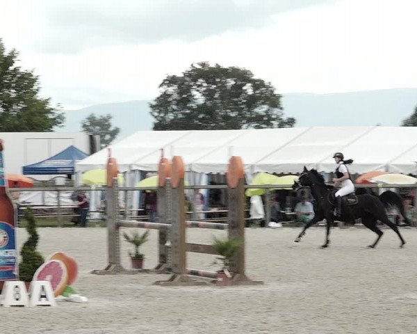 Concours Hippique de Dompierre 2021