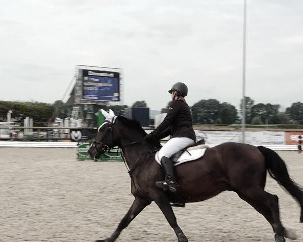 Concours Hippique de Dompierre 2021