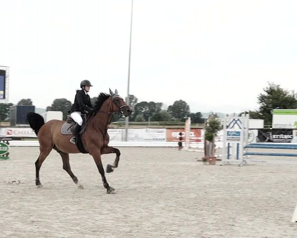 Concours Hippique de Dompierre 2021