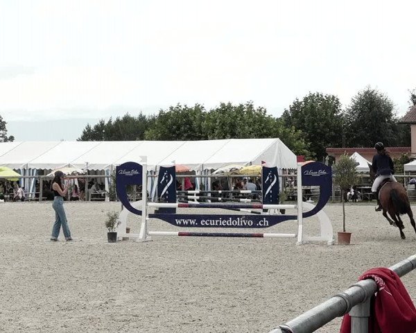 Concours Hippique de Dompierre 2021