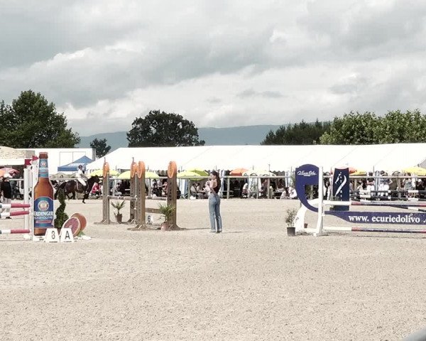 Concours Hippique de Dompierre 2021