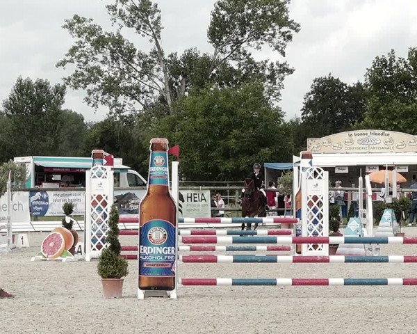 Concours Hippique de Dompierre 2021