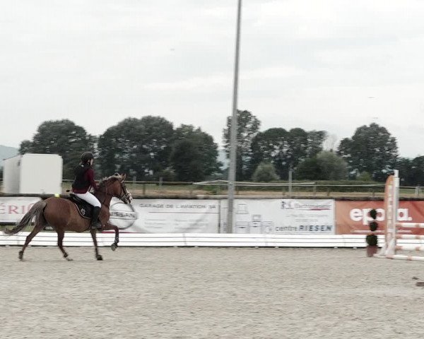 Concours Hippique de Dompierre 2021