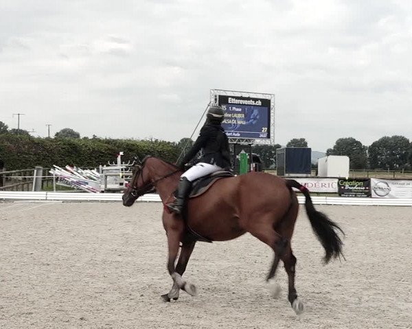 Concours Hippique de Dompierre 2021