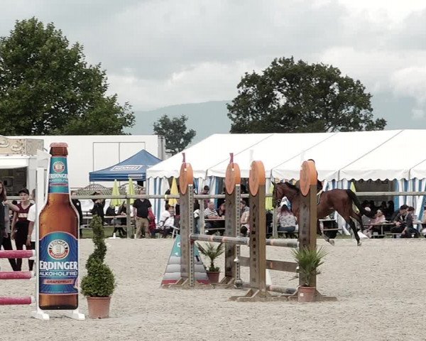 Concours Hippique de Dompierre 2021