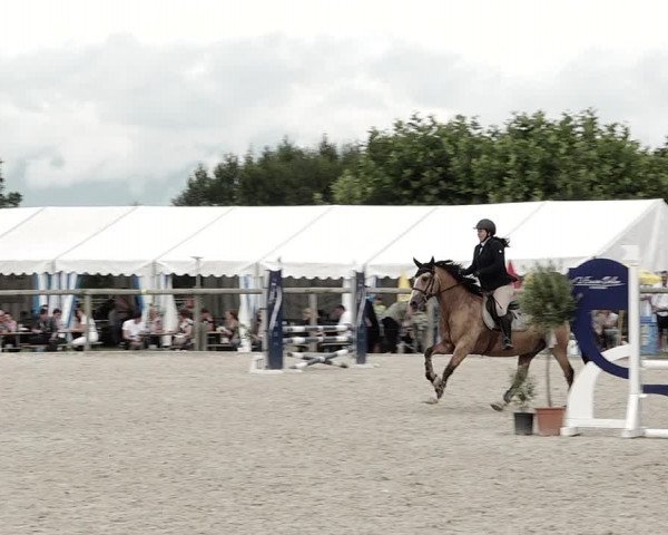 Concours Hippique de Dompierre 2021