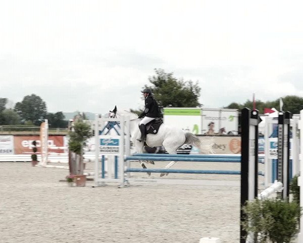 Concours Hippique de Dompierre 2021
