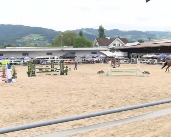 Sommerspringen Oberriet 2021