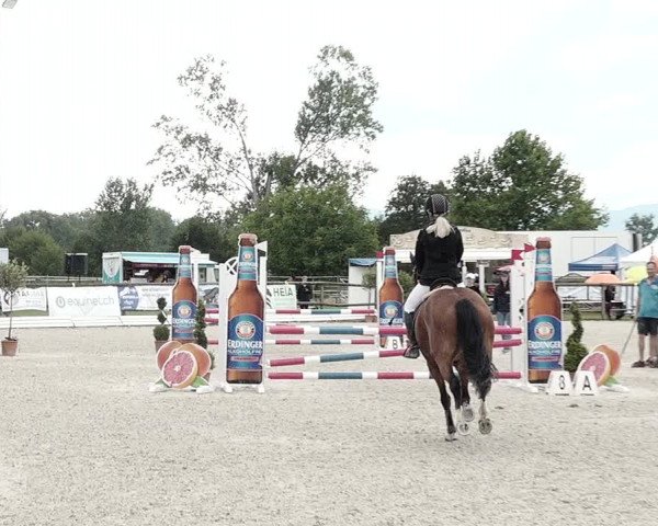 Concours Hippique de Dompierre 2021