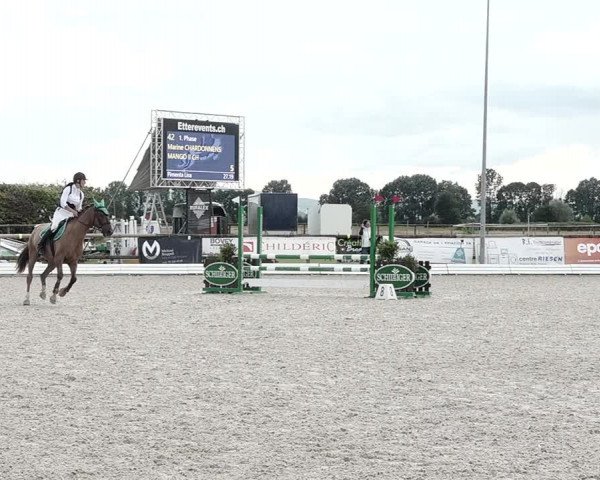 Concours Hippique de Dompierre 2021