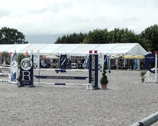 Concours Hippique de Dompierre 2021