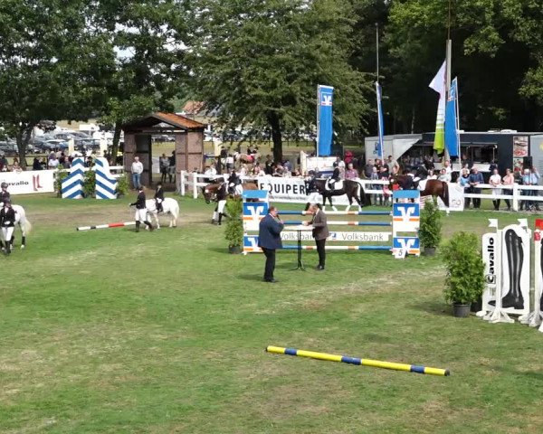 Sommerturnier Ostbevern 2021
