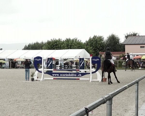 Concours Hippique de Dompierre 2021