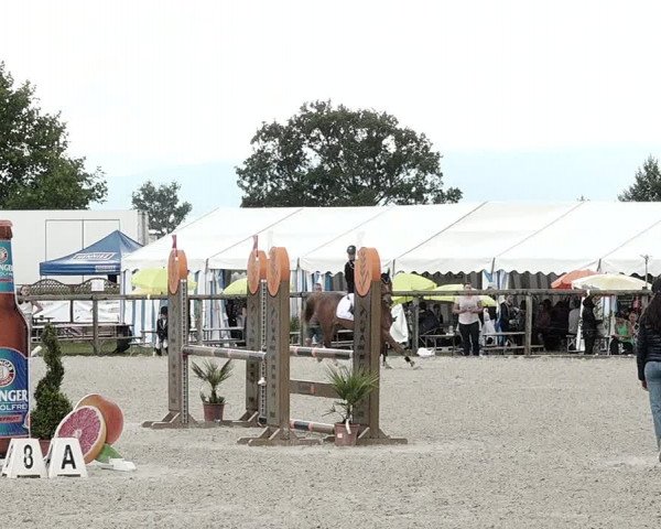 Concours Hippique de Dompierre 2021