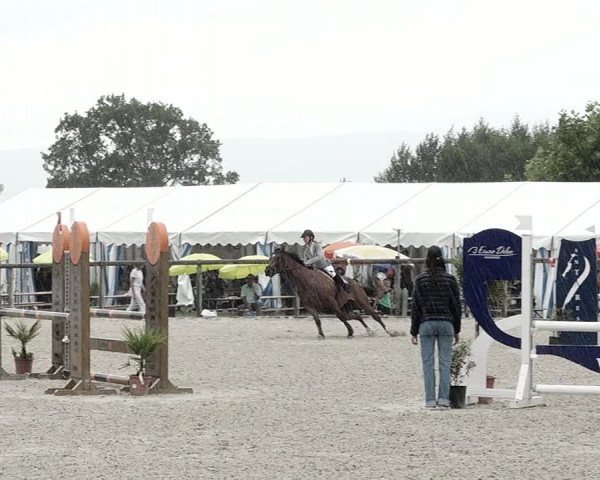 Concours Hippique de Dompierre 2021