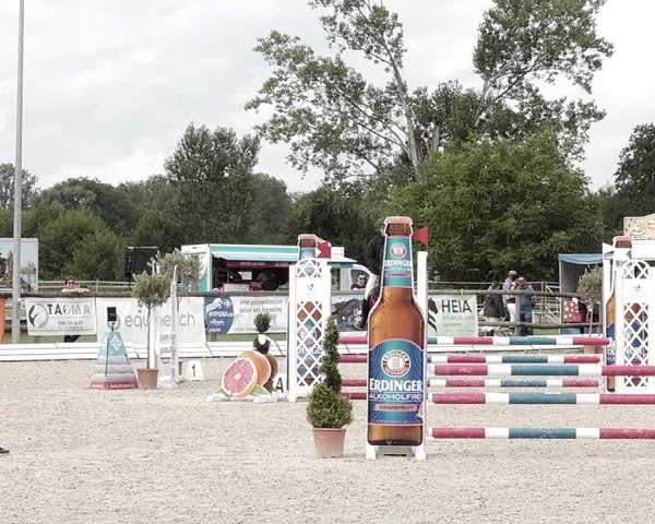 Concours Hippique de Dompierre 2021