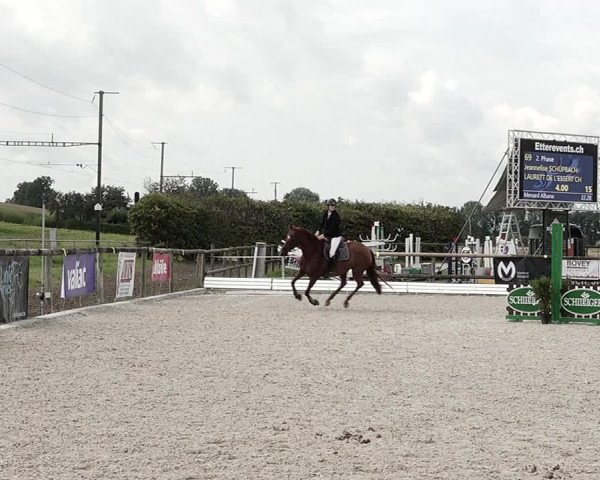 Concours Hippique de Dompierre 2021